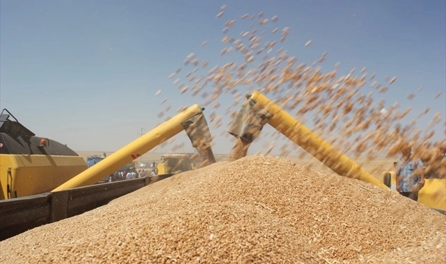 Günlük buğday ve arpa fiyatları belli oldu