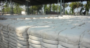 Pamuk fiyatları 50 TL'yi aştı