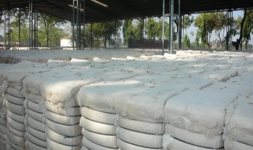 Pamuk fiyatları 50 TL'yi aştı