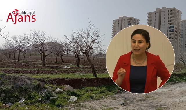 Şanlıurfa'da adrese teslim imar değişikliği iddiası