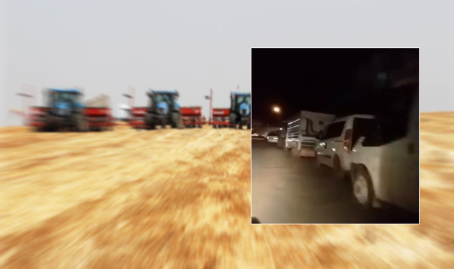 Şanlıurfa’da ‘arpa’ kuyruğu: Bu hallere mi düşecektin?