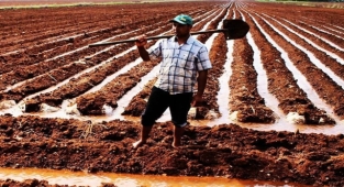 Şanlıurfa’da beyaz altın toprakla buluştu