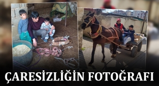 Şanlıurfa'da bir babanın sessiz çığlığı!