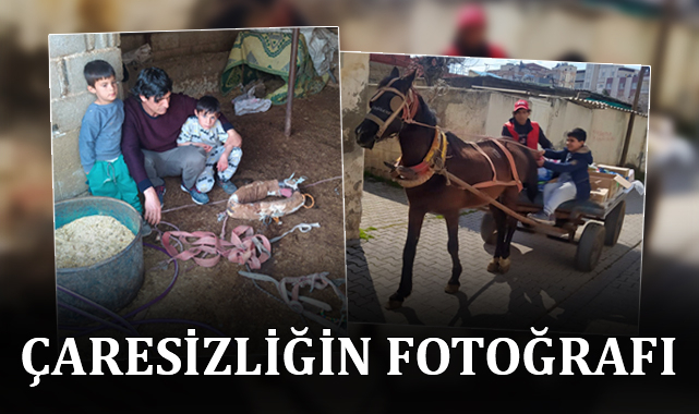 Şanlıurfa'da bir babanın sessiz çığlığı!