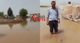 Şanlıurfa'da bir mahalle sulara gömüldü