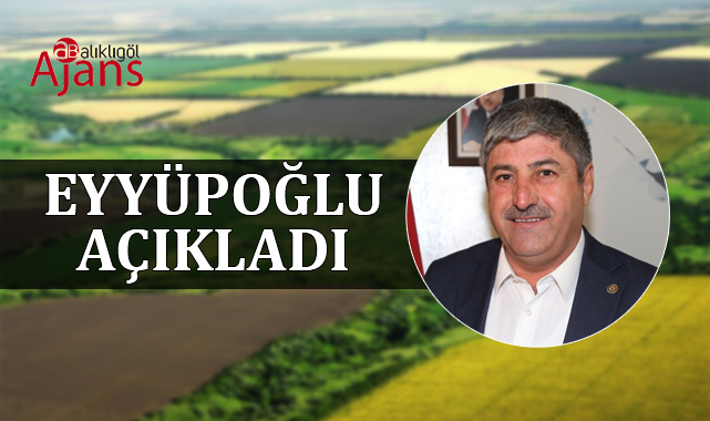 Şanlıurfa'da hazine arazisi için verilen süre uzatıldı