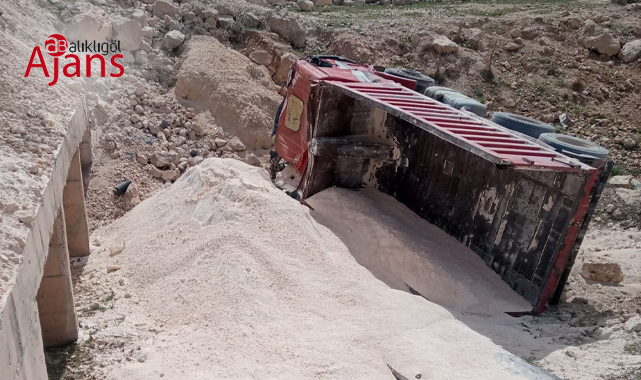 Şanlıurfa'da kamyon şarampole yuvarlandı