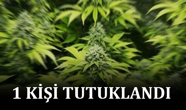 Şanlıurfa’da uyuşturucu imalatı yapılan adrese baskın