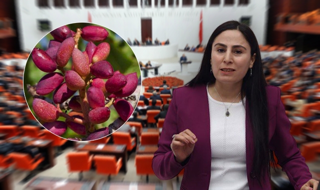 Şanlıurfa fıstığı için kanun teklifi