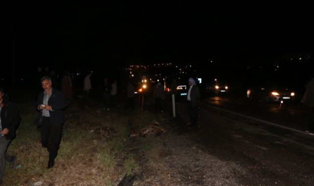 Şanlıurfa gece yarısı facia! Tanker koyun sürüsüne daldı