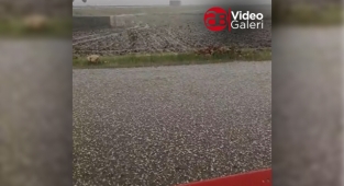 Şanlıurfa'nın ilçesinde dolu felaketi