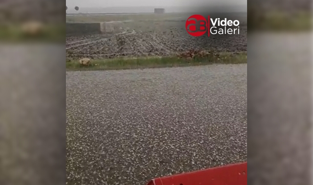Şanlıurfa'nın ilçesinde dolu felaketi