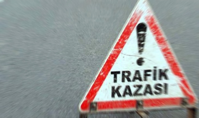 Siverek’te araç yoldan çıktı: 1 kişi hayatını kaybetti