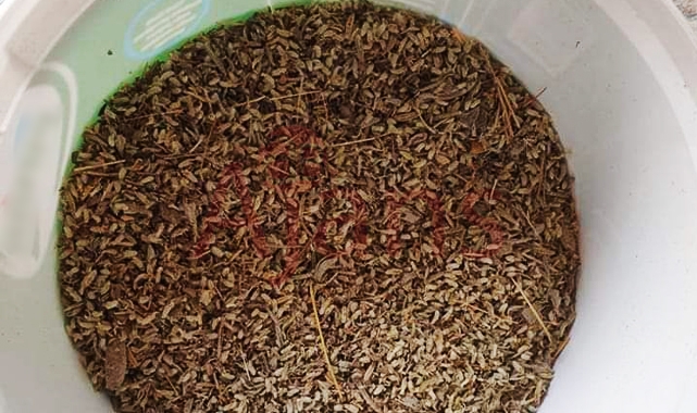 Suruç’ta ele geçirildi: 1 kişi tutuklandı