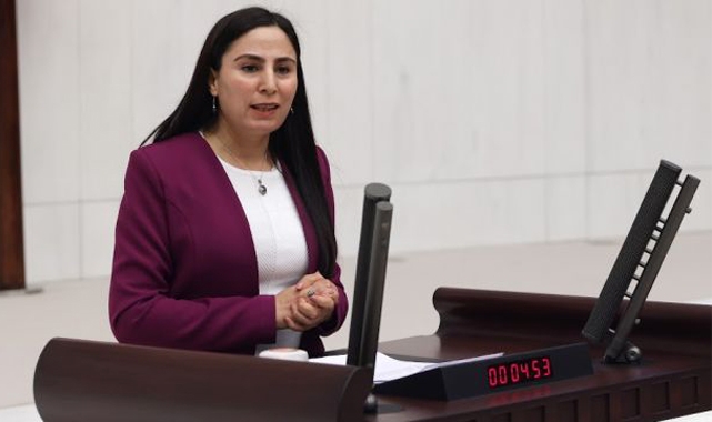 Sürücü, tüyler ürperten kadın cinayetini meclise taşıdı