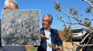 Urfa'da dondan zarar gören bölgelerde inceleme