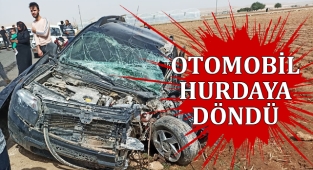Şanlıurfa'da araç tarlaya uçtu: Yaralılar var