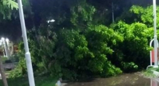 Urfa'da fırtına yıkıp geçiyor