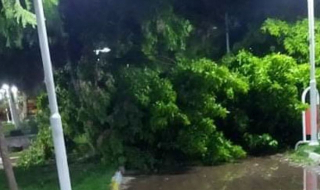 Urfa'da fırtına yıkıp geçiyor