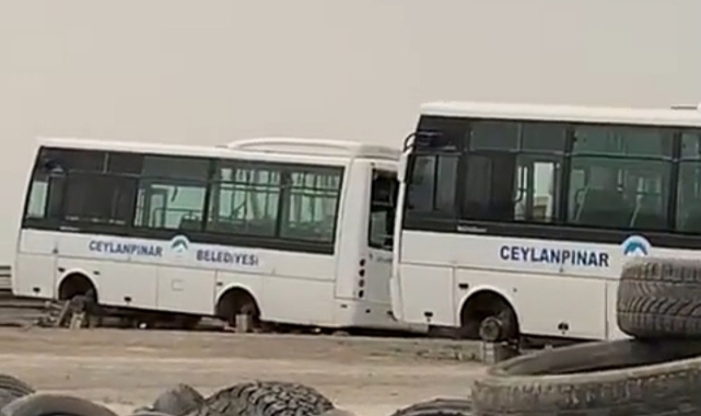 Urfa'da milyonluk araçlar çürümeye terk edildi