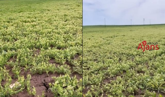 Urfa'nın ilçesinde su isyanı!