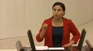 Vekil Sürücü, mecliste Urfa'nın sorunlarını gündeme getirdi