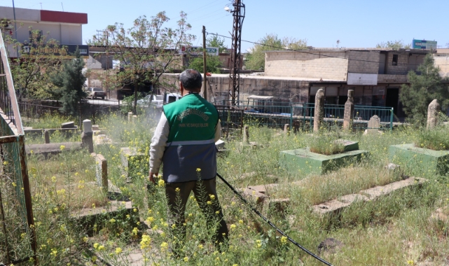 Viranşehir’deki mezarlıklarda bayram hazırlığı başladı 