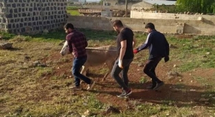 Yaralı hayvanı tedavi için Urfa'ya getirdiler