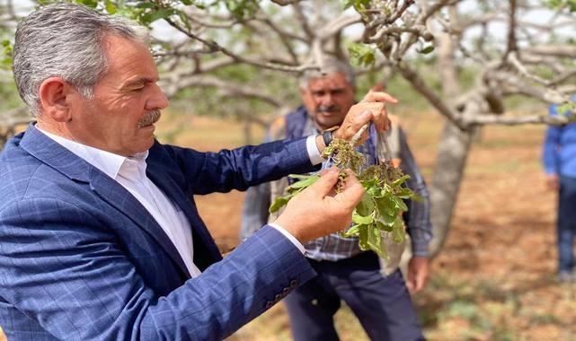 Ziraat Odasından zirai don çağrısı! Yüzünüzü çiftçiye dönün