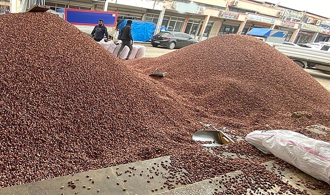 Antep fıstığı piyasasında dalgalanma! İşte yeni fiyatlar