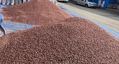 Antep fıstığında son durum! İşte güncel fiyatlar