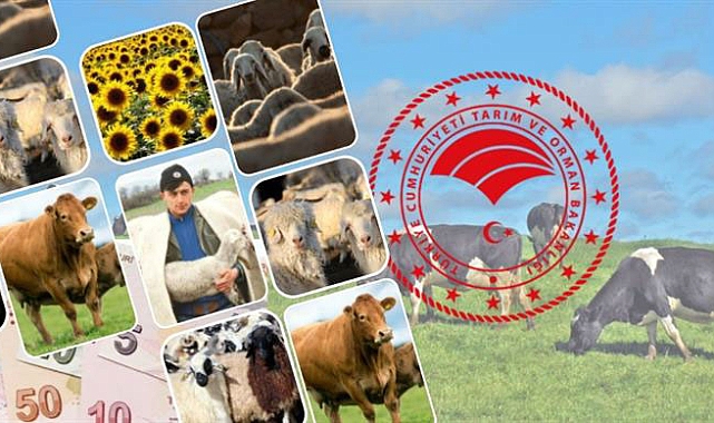 Bakanlık açıkladı: Ödemeler hesaplara yattı