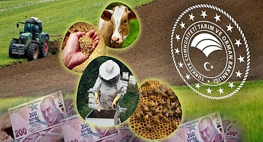 Bakanlıktan açıklama geldi! O ödemeler başladı