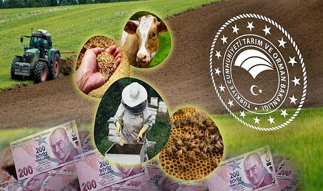 Bakanlıktan açıklama geldi! O ödemeler başladı