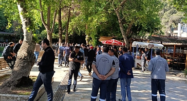 Balıklıgöl'de operasyon! Toplatıldı