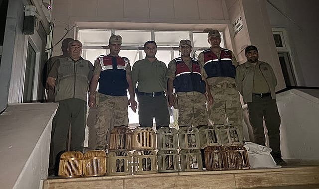 Bir evde  ele geçirilen 14 keklik doğal yaşam alanlarına bırakıldı
