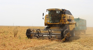 Buğday mısır ve arpa fiyatlarında son durum