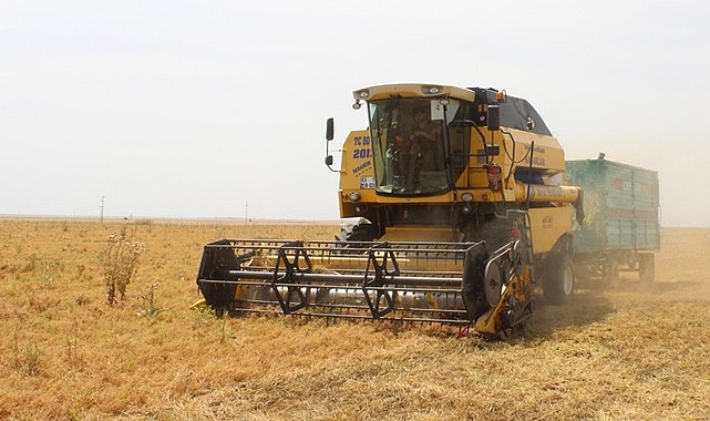 Buğday mısır ve arpa fiyatlarında son durum