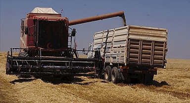 Buğdayda taban fiyat açıklaması
