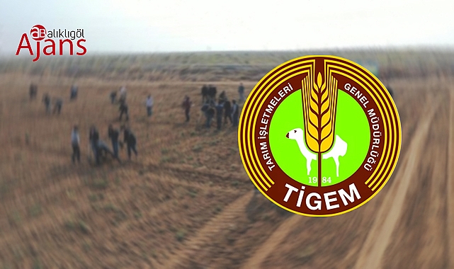 Ceylanpınar'da 'işçilere baskı uygulanıyor' iddiası