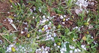 Dolu yağışı Suruç ilçesini vurdu