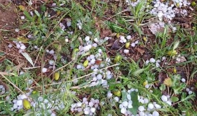 Dolu yağışı Suruç ilçesini vurdu