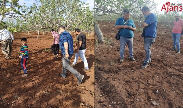 Doludan etkilenen çiftçiye parsel bazlı dilekçe uyarısı