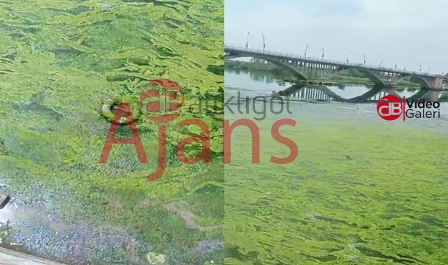 Fırat'ın incisi Birecik çöplüğün incisi oldu