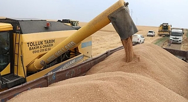 Günlük buğday ve arpa fiyatları