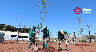 Haliliye'de projeler bir bir tamamlanıyor