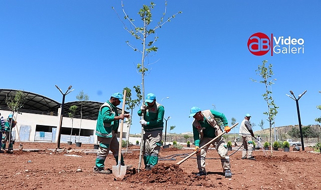 Haliliye'de projeler bir bir tamamlanıyor