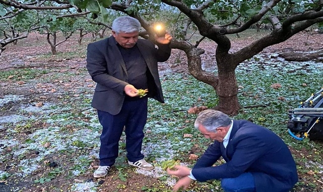 İlçe tarım müdürlüklerine seslendi! Hasar tespiti yapılmalı