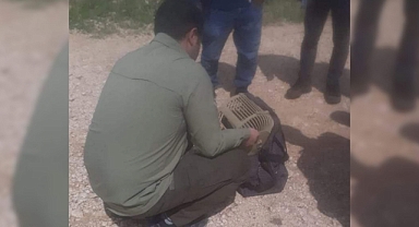 Kaçak avlanan şahıslara ceza kesildi