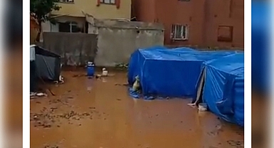 Mevsimlik tarım işçilerinin değişmeyen kaderi